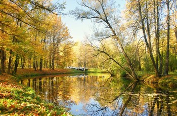 Morgen im Oktober / ***