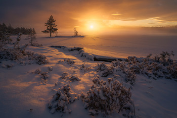 Light of Diffusion / A winter afternoon at a local lake in Ringerike, Norway. Frost smoke diffused the light from the setting sun.