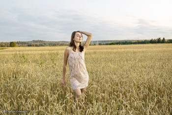 Felder / ***