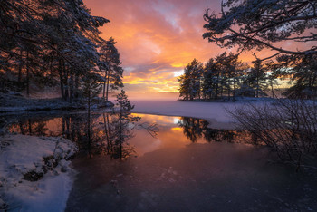 Grand Opening / A very beautiful sunset the first day of February 2020 at a local lake in Ringerike, Norway.