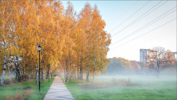 Nebliger Morgen / ***