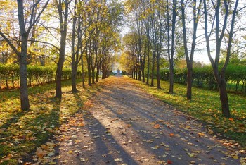 Walk in the Park / ***