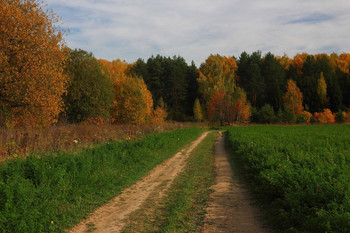 Herbstfarben / ***