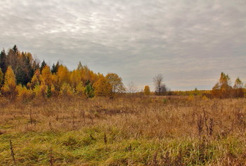 Herbst / ***