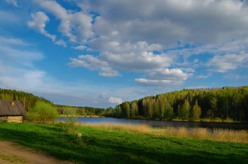 Im Frühsommer / ***