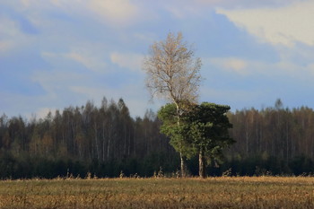 Pashkevich68 / Pashkevich68