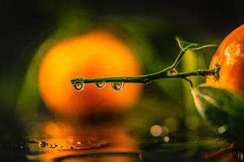 Gotas a la naranja. / Fotografía de frutas.