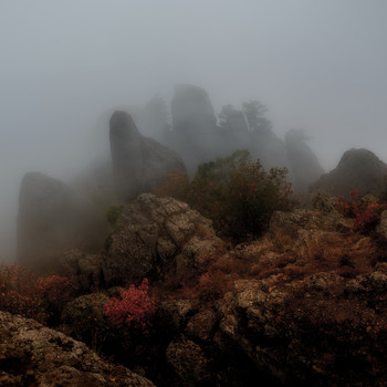 Der Geruch des Herbstes / ***
