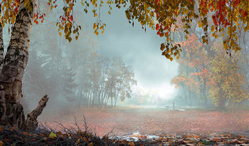 Ende Oktober / ***