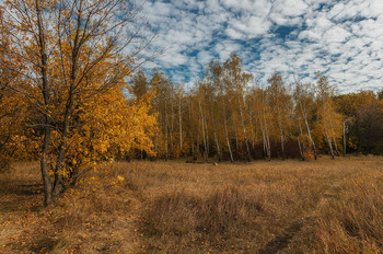 &nbsp; / http://www.youtube.com/watch?v=ExmKIfJC8-s