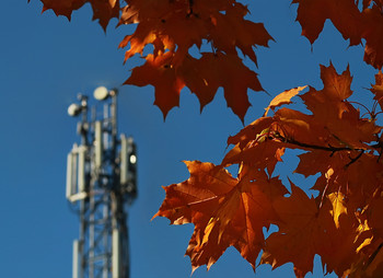 Herbst in der Stadt ... / ***