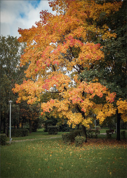 allen Farben des Herbstes / ***