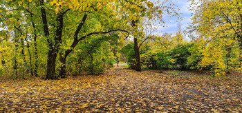 allen Farben des Herbstes / ***