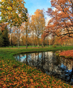 allen Farben des Herbstes / ***