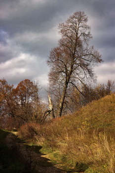 allen Farben des Herbstes / ***