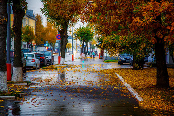 allen Farben des Herbstes / ***