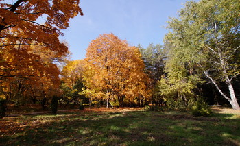 allen Farben des Herbstes / ***