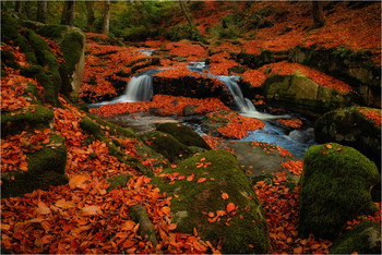allen Farben des Herbstes / Cloughleagh Creeks