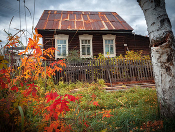 allen Farben des Herbstes / ***