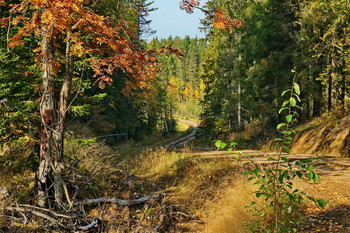 allen Farben des Herbstes / ***