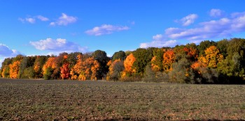 allen Farben des Herbstes / ***