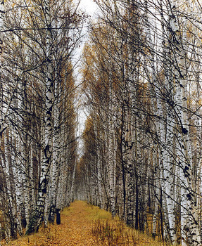 allen Farben des Herbstes / ***