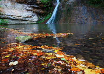allen Farben des Herbstes / ***