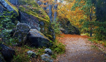 allen Farben des Herbstes / ***