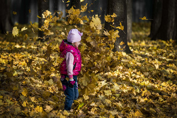 allen Farben des Herbstes / ***