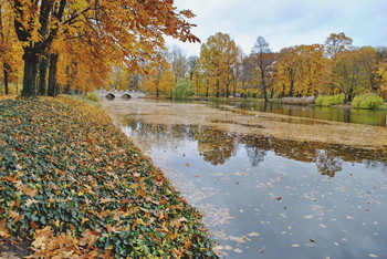 allen Farben des Herbstes / ***