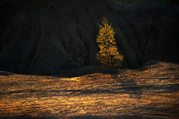 über Herbst / ***