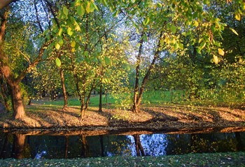 allen Farben des Herbstes / ***