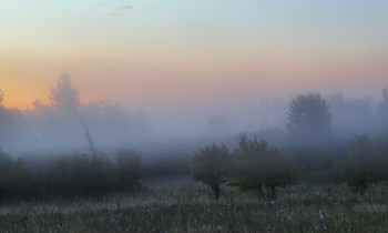 Pre-dawn Nebel / ***