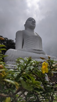 Lord Buddha / Statue of Lord Buddha