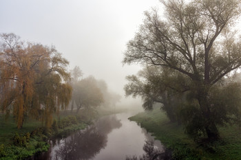 Nebliger Morgen / ***