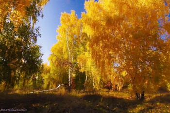 Herbstfarben / ...