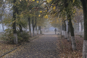 Morgen im Oktober / ***