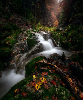 Somewhere in Slovak Paradise / After rain is the most beautiful light for shooting