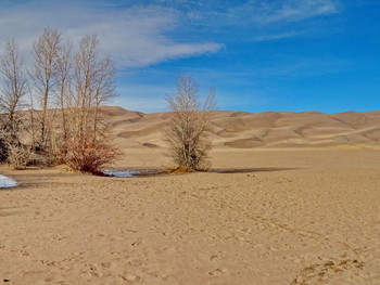 &nbsp; / Great Sand Dunes National Park, Colorado, USA