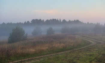 Verschwinden in den Nebel / ***