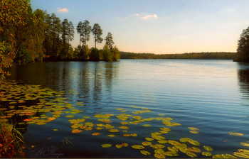 Herbst Trauer / ***