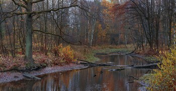 Oktober ist gekommen ... / ***
