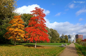 Wilhelmsburger Inselpark Hamburg / ***