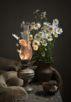 Gänseblümchen / 2020