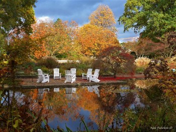 Planten un Blomen Hamburg / ***