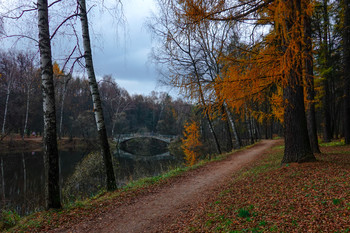 Im alten Park / ...