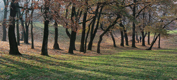 Herbst gehen ... / ***