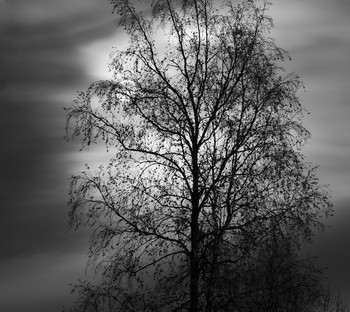 irgendwo / ***