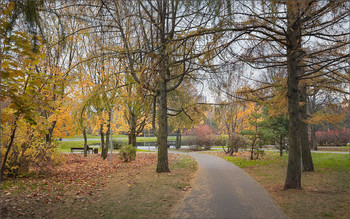 Im Herbst des Parks ... / ***