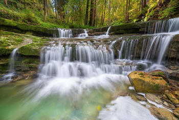 in der Taugl / in der Taugl